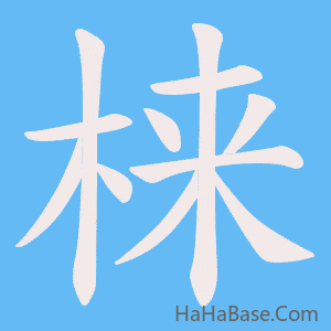 《梾》的筆順動畫寫字動畫演示