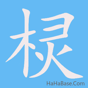 《棂》的筆順動畫寫字動畫演示