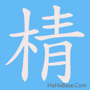 《棈》的筆順動畫寫字動畫演示