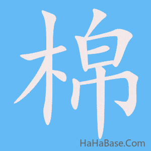 《棉》的筆順動畫寫字動畫演示
