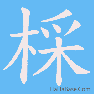《棌》的筆順動畫寫字動畫演示