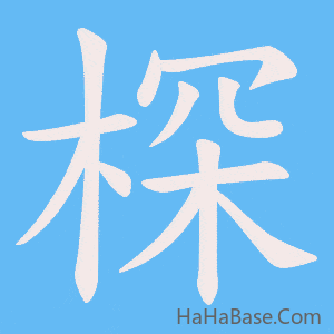 《棎》的筆順動畫寫字動畫演示