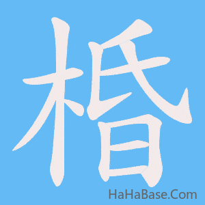 《棔》的筆順動畫寫字動畫演示