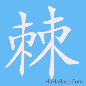 《棘》的筆順動畫寫字動畫演示