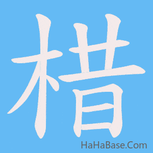 《棤》的筆順動畫寫字動畫演示