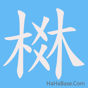 《棥》的筆順動畫寫字動畫演示