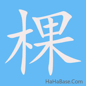 《棵》的筆順動畫寫字動畫演示