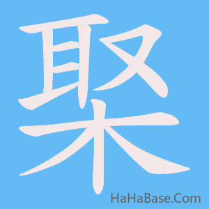 《棸》的筆順動畫寫字動畫演示