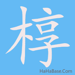 《椁》的筆順動畫寫字動畫演示