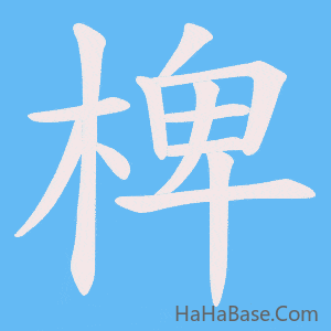 《椑》的筆順動畫寫字動畫演示