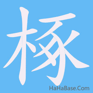 《椓》的筆順動畫寫字動畫演示