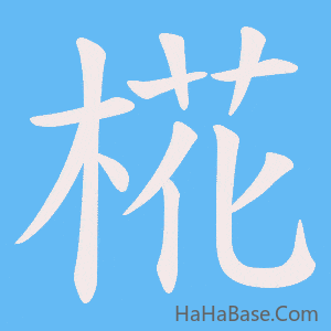 《椛》的筆順動畫寫字動畫演示
