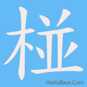 《椪》的筆順動畫寫字動畫演示