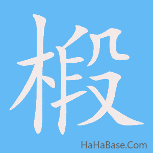 《椴》的筆順動畫寫字動畫演示