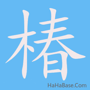 《椿》的筆順動畫寫字動畫演示