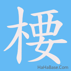 《楆》的筆順動畫寫字動畫演示