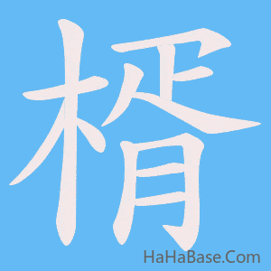 《楈》的筆順動畫寫字動畫演示