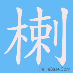 《楋》的筆順動畫寫字動畫演示
