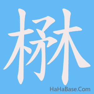 《楙》的筆順動畫寫字動畫演示