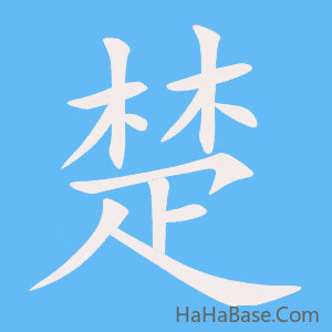 《楚》的筆順動畫寫字動畫演示