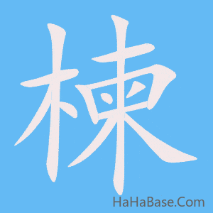 《楝》的筆順動畫寫字動畫演示