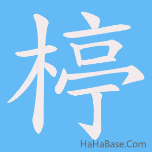 《楟》的筆順動畫寫字動畫演示