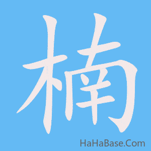 《楠》的筆順動畫寫字動畫演示