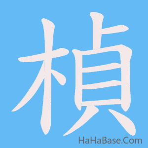 《楨》的筆順動畫寫字動畫演示
