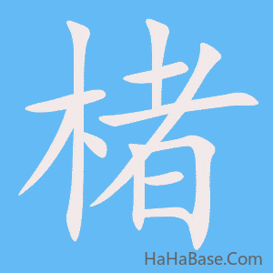 《楮》的筆順動畫寫字動畫演示