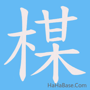 《楳》的筆順動畫寫字動畫演示