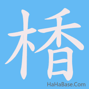 《楿》的筆順動畫寫字動畫演示