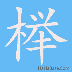 《榉》的筆順動畫寫字動畫演示