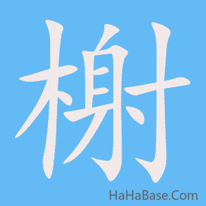 《榭》的筆順動畫寫字動畫演示