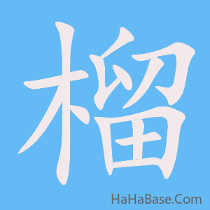 《榴》的筆順動畫寫字動畫演示