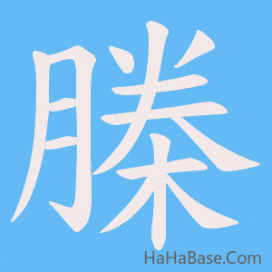 《榺》的筆順動畫寫字動畫演示
