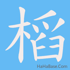《槄》的筆順動畫寫字動畫演示