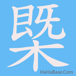 《槩》的筆順動畫寫字動畫演示