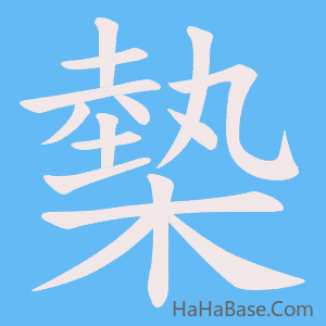 《槷》的筆順動畫寫字動畫演示