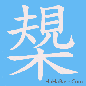 《槼》的筆順動畫寫字動畫演示