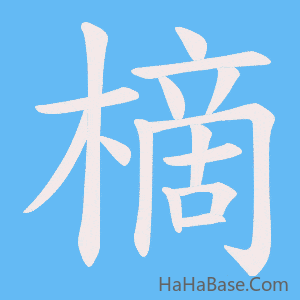 《樀》的筆順動畫寫字動畫演示