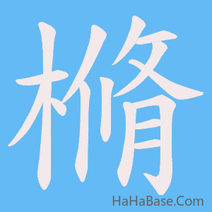 《樇》的筆順動畫寫字動畫演示