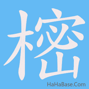 《樒》的筆順動畫寫字動畫演示