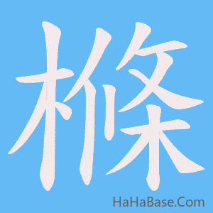 《樤》的筆順動畫寫字動畫演示