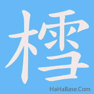 《樰》的筆順動畫寫字動畫演示