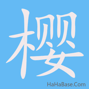《樱》的筆順動畫寫字動畫演示