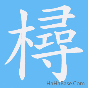 《樳》的筆順動畫寫字動畫演示