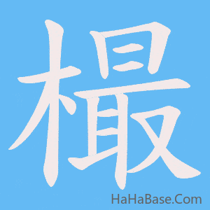 《樶》的筆順動畫寫字動畫演示