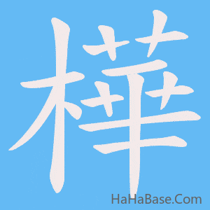 《樺》的筆順動畫寫字動畫演示