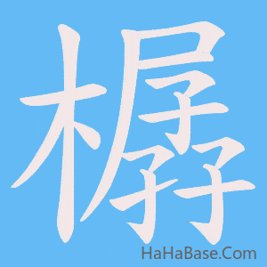 《樼》的筆順動畫寫字動畫演示