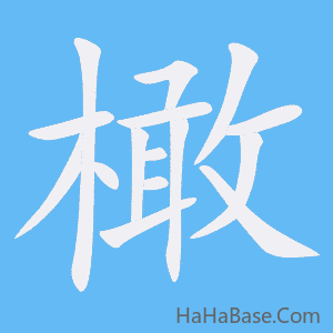 《橄》的筆順動畫寫字動畫演示